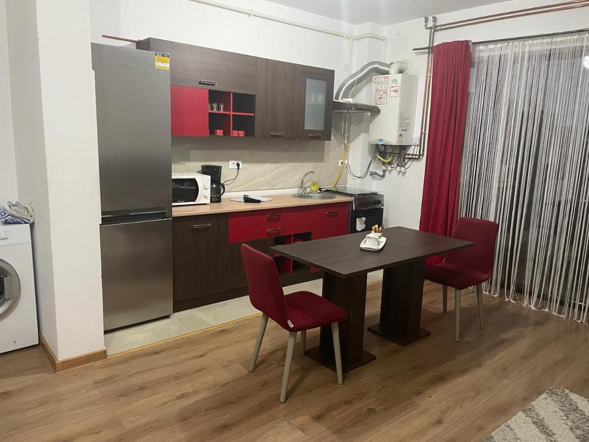 Appartement Apartament Adriana à Giroc Extérieur photo