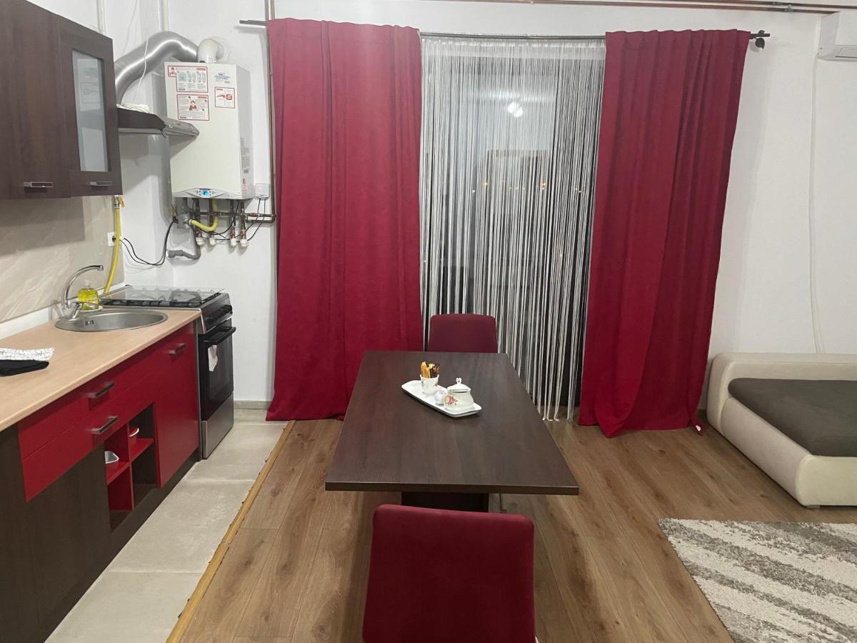 Appartement Apartament Adriana à Giroc Extérieur photo